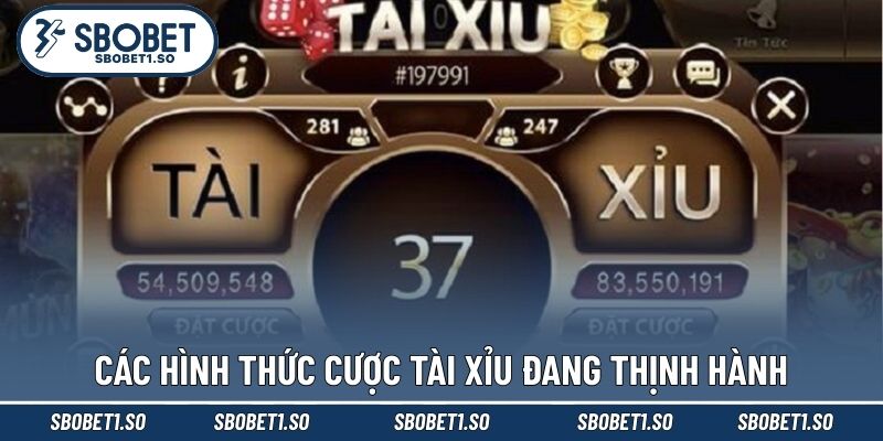 Các hình thức cược tài xỉu đang thịnh hành