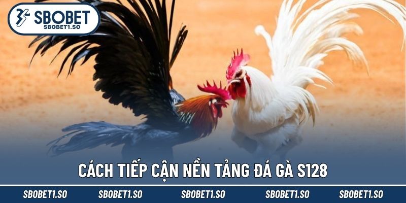 Cách tiếp cận nền tảng đá gà S128