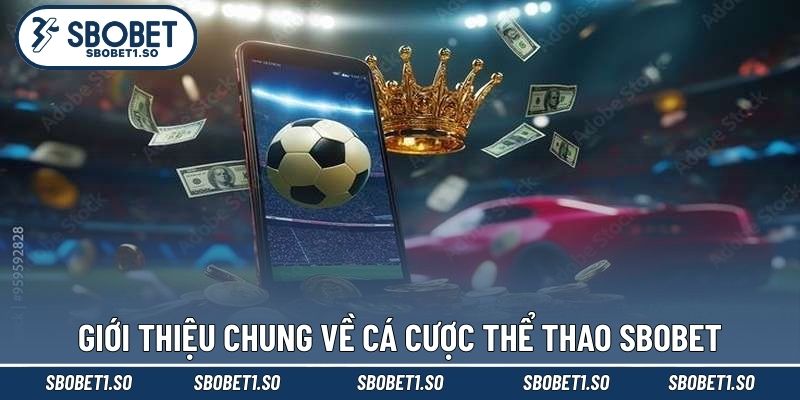 Giới thiệu chung về cá cược thể thao sbobet