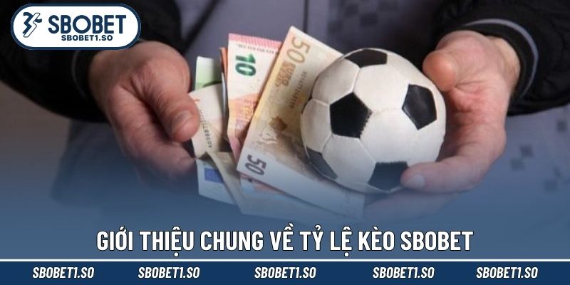 Giới thiệu chung về tỷ lệ kèo sbobet