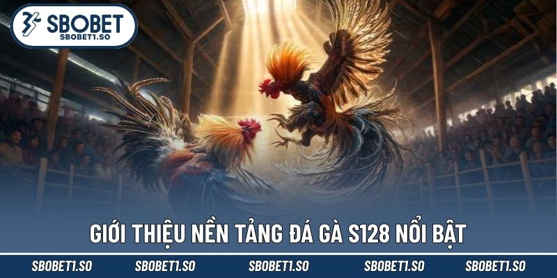Giới thiệu nền tảng đá gà S128 nổi bật