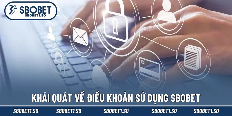 Khái quát về điều khoản sử dụng Sbobet