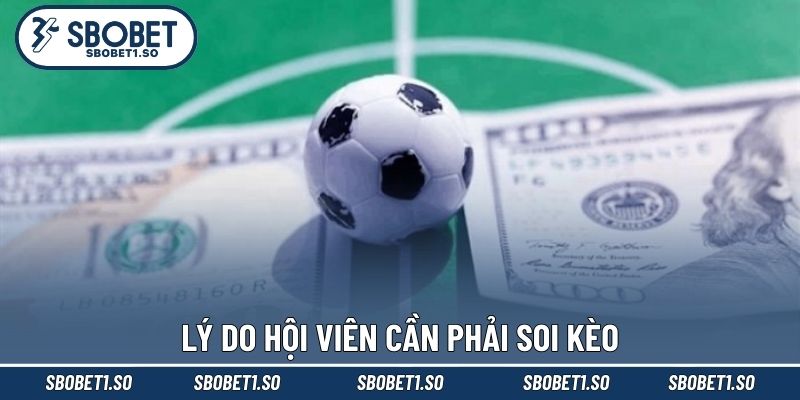 Lý do hội viên cần phải soi kèo