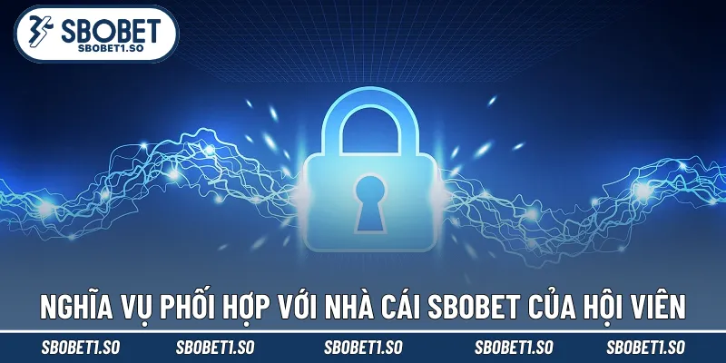 Nghĩa vụ phối hợp với nhà cái Sbobet của hội viên