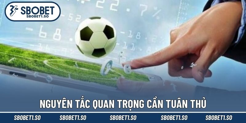 Nguyên tắc quan trọng cần tuân thủ