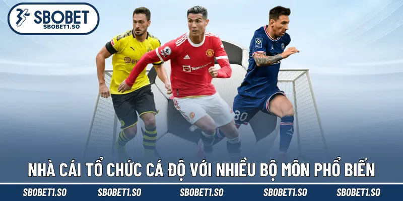 Nhà cái tổ chức cá độ với nhiều bộ môn phổ biến