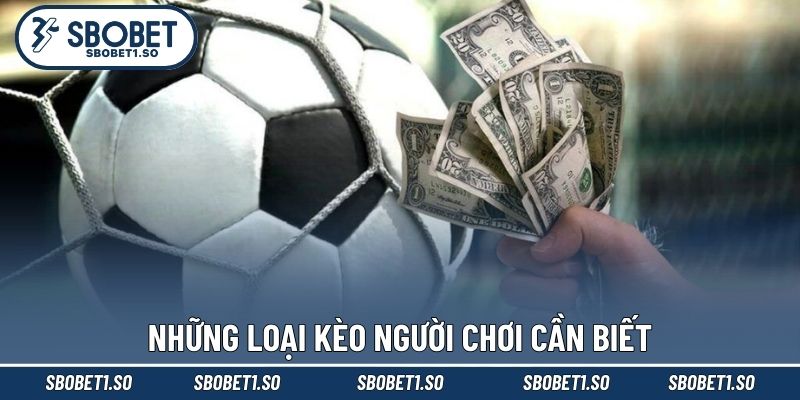 Những loại kèo người chơi cần biết