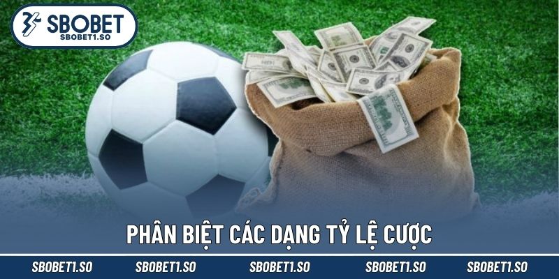 Phân biệt các dạng tỷ lệ cược