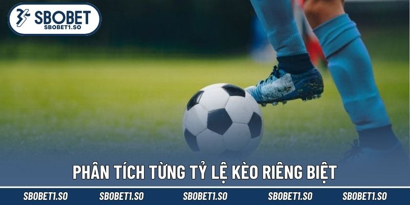 Phân tích từng tỷ lệ kèo riêng biệt