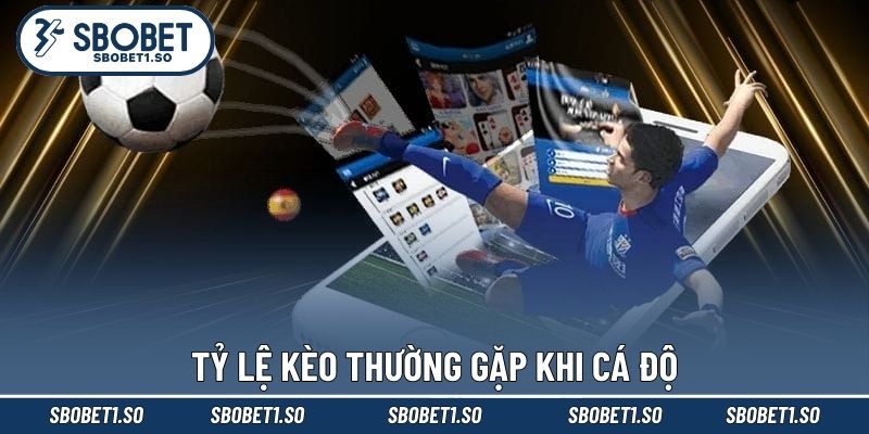 Tỷ lệ kèo thường gặp khi cá độ